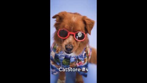 Super Funny Dog Videos 2022 - Dog funny clip - CatStore #5