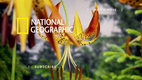 Earth 101 _ National Geographic with Adventures by NASA
