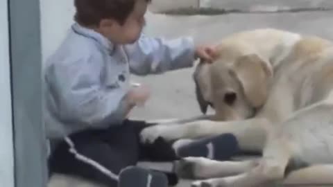 Dog interacting with 3year old