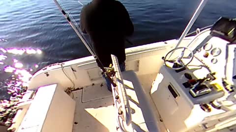 360° Video of both fishing lines going down at once...