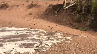 Dry River Begins to Flow After Heavy Rain