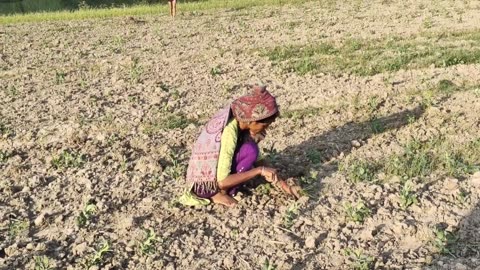 Beautiful Indian Rural Life | Raining Weather in Village Simple Life | Indian Real Village