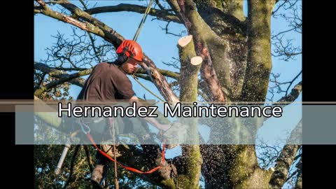 Hernandez Maintenance - (210) 714-4536
