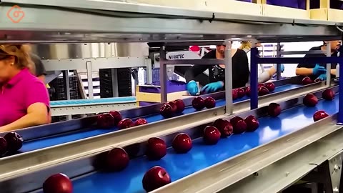 Modern Food Technology Processing Machines