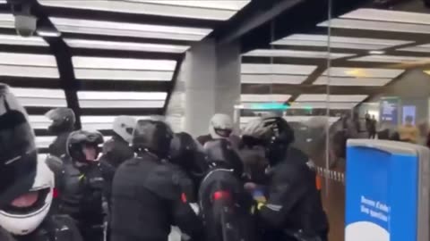 Francouzská policie při protestech bije i ženy
