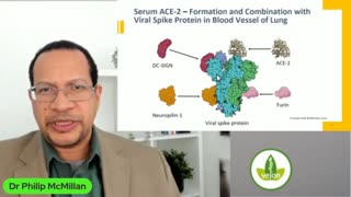 Vejon Health: COVID Autoimmunity - Horrific Findings!