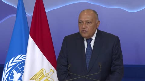 Vast majority' in favour of Egypt's climate plan: summit host