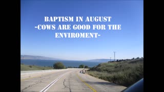Baptism In August - COWS ARE GOOD FOR THE ENVIROMENT - (432hz) 2023