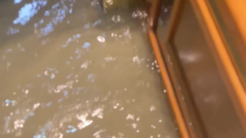 Damp Elevator Disaster in Ireland