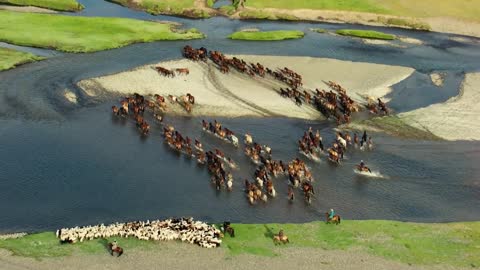 Steppe [Mongolian] (Horse Racing - Huang Haihuai)