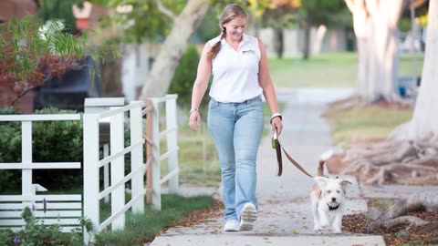 Dog Walker Westchester * Call (310) 862-4445 | Sit Stay Play