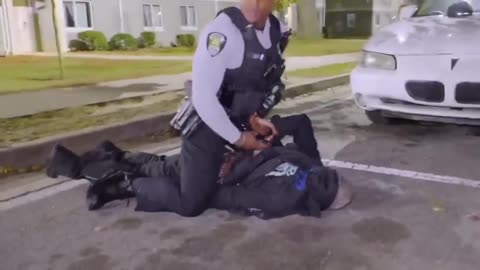 Great police takedown