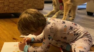 Drawing Kid Oblivious to Dogs Playing Tug-of-War