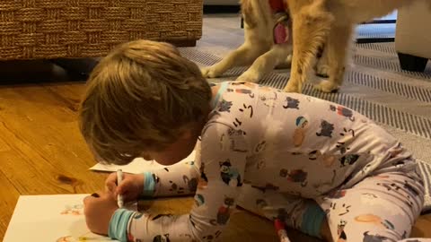 Drawing Kid Oblivious to Dogs Playing Tug-of-War