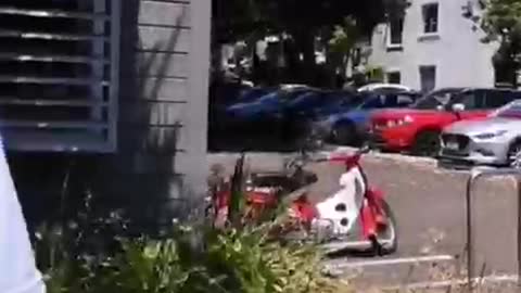 ℹ️ NZ Gestapo goes wild to intimidate freedom fighter outside vax centre in Palmerston North.