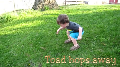 Toad Excitement!