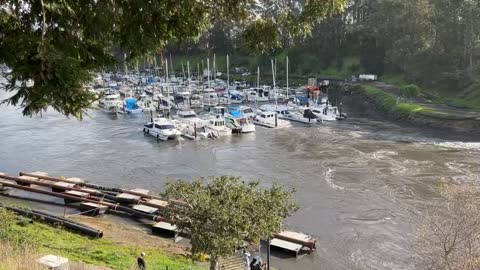 A tsunami generated tidal surge enters the Santa Cruz CA Harbor causing damage Saturday