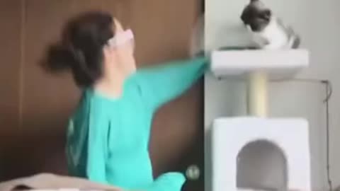 Funny Dogs And Cats Video 2023 Funny🤣😹