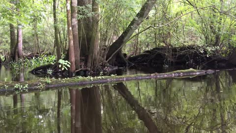 Hillsborough River