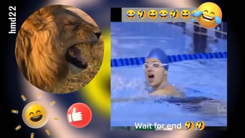 Hilarious Swimming Competition Fails You Can't Miss!