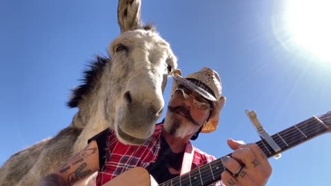 THE MAN WITH A HEART ❤️ FOR ANIMALS AND MUSIC SINGS A BEATLES SONG FOR HIS RESCUED SOULMATE THE DONKEY HAZEL