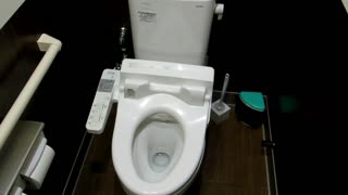 Privacy Mode Toilet in Japan!