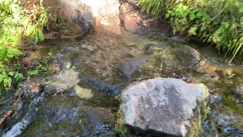 Oregon - Mount Hood - Rock Hoppin’ Creek Crossin’