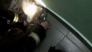 Firefighters Rescue A Kitten