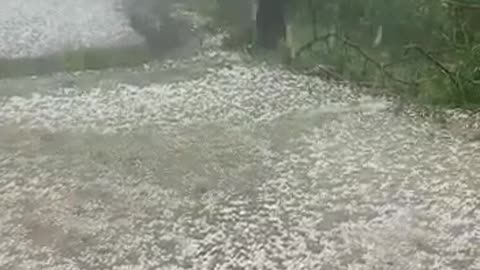 Olo ki barish bahut hui