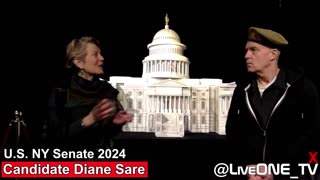 NY U.S. Senate Candidate DIANE SARE - Interview The Candidate's Intentions