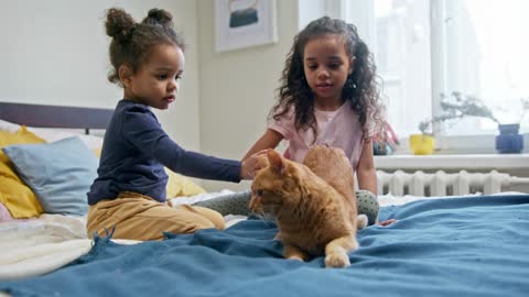 Kids Petting Their Cat On The Bed