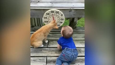 Cutest Babies Play With Dogs ep 3 And Cats Compilation || Cool Peachy