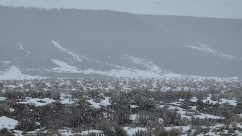 NEVANDO EN NEVADA USA