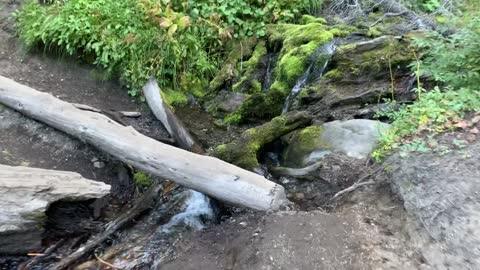 Central Oregon - Three Sisters Wilderness - Hopping Across a Creek