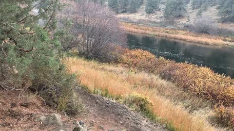 Central Oregon – Steelhead Falls – Orange Fall Colors on the River Shore