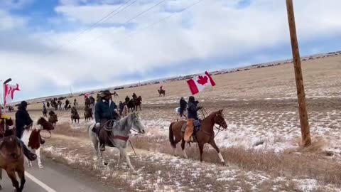 Canada, 300 cowboy per sostenere la protesta di camionisti e agricoltori.