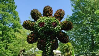 Die Blumeninsel im Bodensee