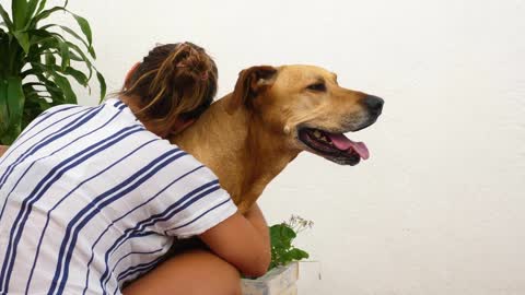 Woman hugging a dog