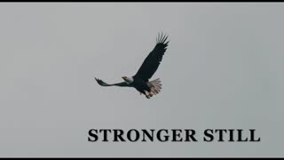 Pray USA 4/15/24 Stronger Still