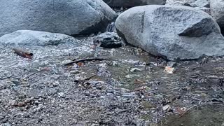 Hiking near a waterfall