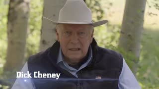 Dick Cheney on Trump: