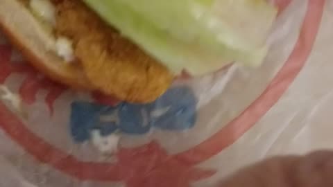 Crispy Chicken Sandwich, Hamburger, Fries from Wendy's & Burger King