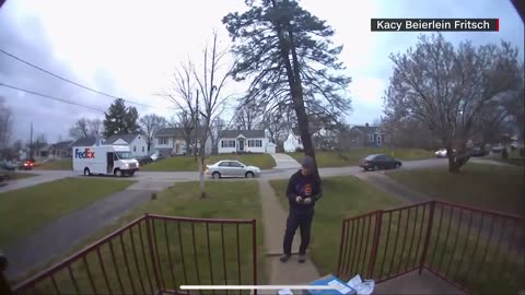 Delivery driver narrowly escapes being hit by falling tree in Kentucky
