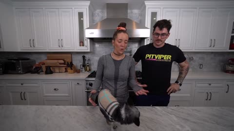 Making A Dog Birthday Cake