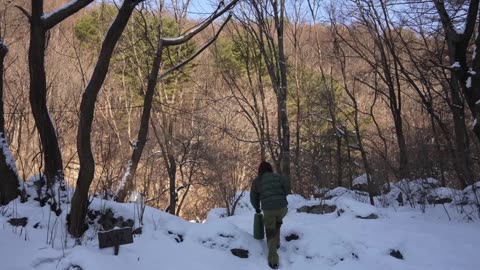 Snowy Frozen wild forest floor alone Camping / Hot Tent in the cold