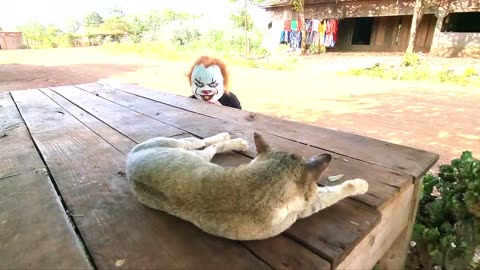 Fake Joker prank & joker Prank to dog, cat - Troll Funny prank.mp4 #rumble