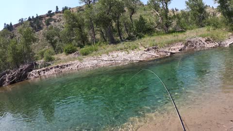 Fly Fishing Montana