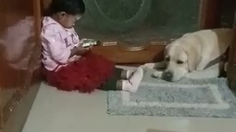 Dog taking care of baby