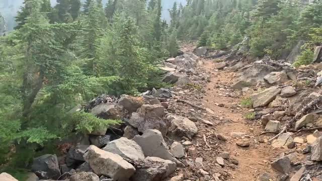 Central Oregon - Mount Jefferson Wilderness - Pacific Crest Santiam Pass to Three Fingered Jack Mt.