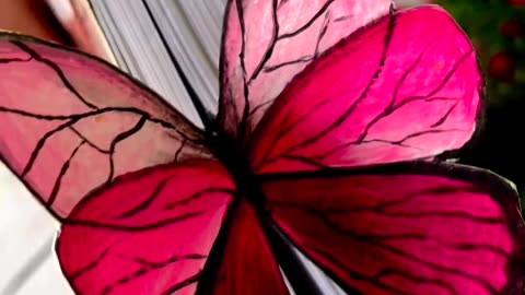 Amazing DIY butterfly art